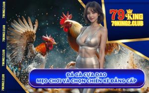 Đá Gà Cựa Dao - Mẹo Chơi và Chọn Chiến Kê Đẳng Cấp