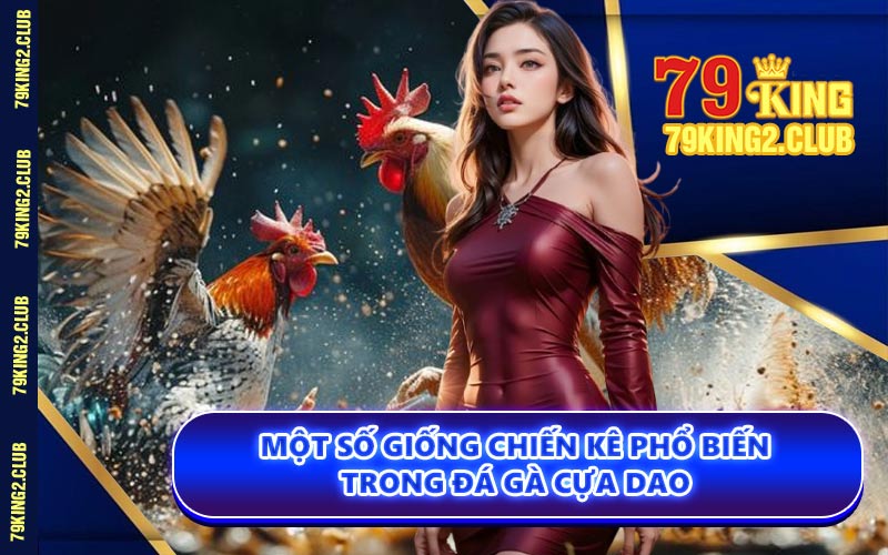 Một Số Giống Chiến Kê Phổ Biến Trong Đá Gà Cựa Dao