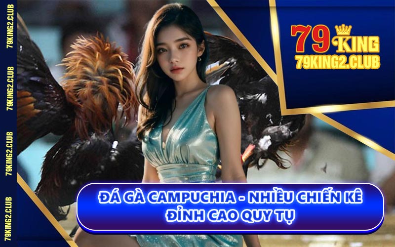Đá Gà Campuchia - Nhiều Chiến Kê Đỉnh Cao Quy Tụ
